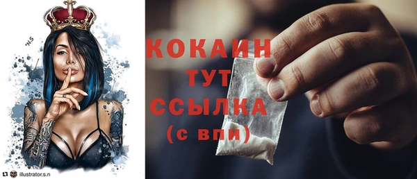 молекула духа Балахна