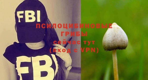 молекула духа Балахна