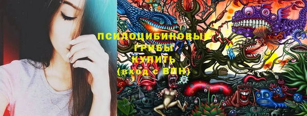 молекула духа Балахна
