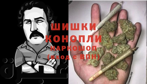 молекула духа Балахна